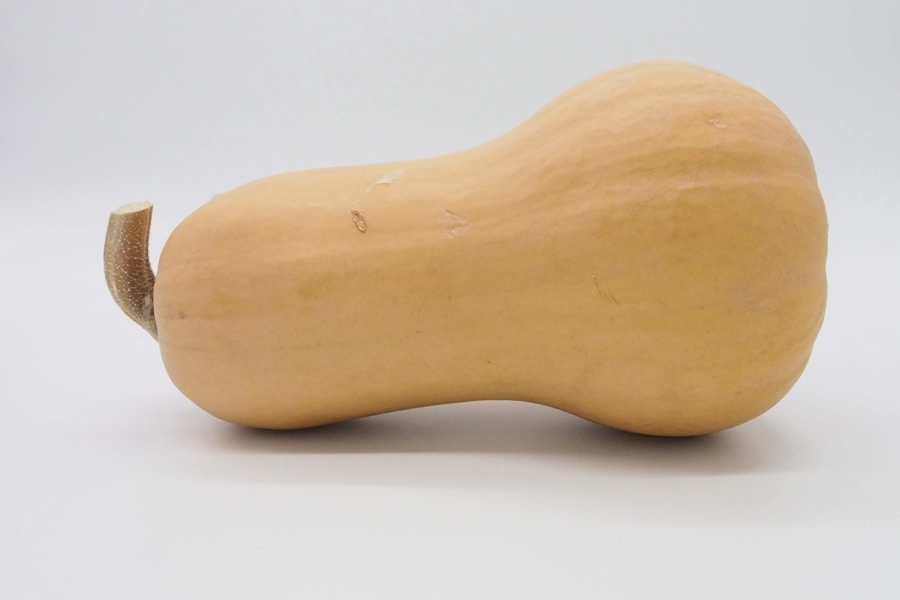 Courges butternut