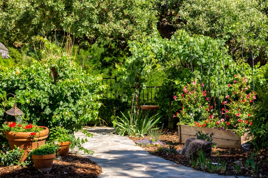 Jardin thérapeutique & terrasses